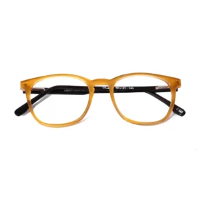 Liberty Vision LV.901